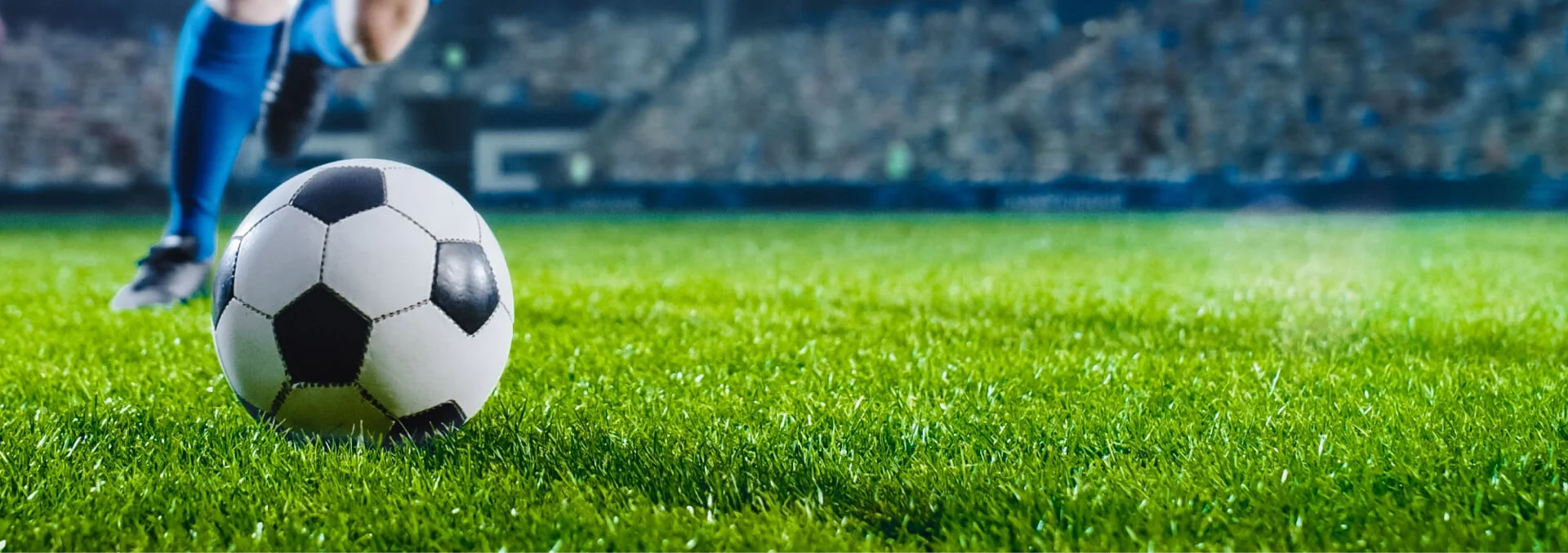 Paquetes de viaje para la Copa América 2024