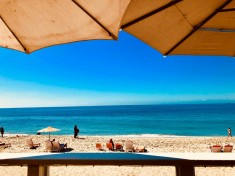 15-16 June | Day 5-6: Final day in Los Angeles