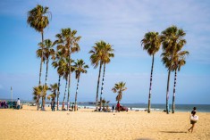 Venice Beach