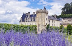 Private sightseeing tours