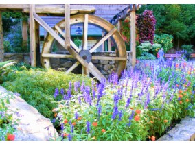Beyond the football: Seattle vibes, scenic Amtrak rides, and the beauty of Victoria and Butchart Gardens