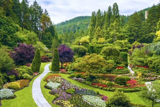 July 8, Day 4: Victoria and Butchart Gardens Tour