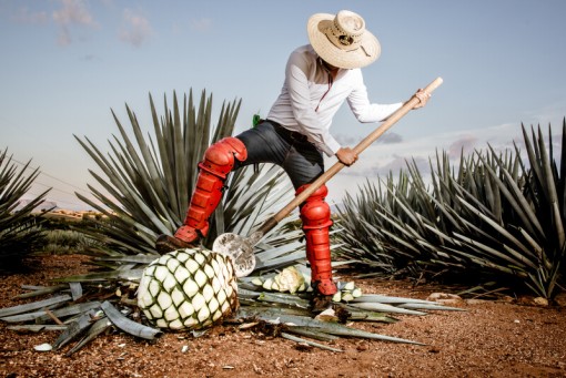 June 12, Day 3: Tequila Vibe