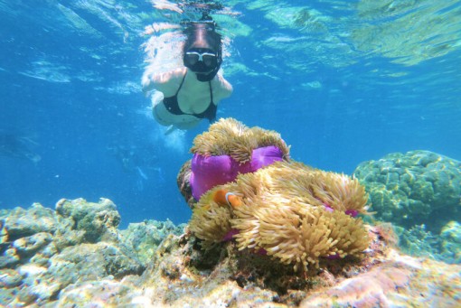 Viagem de um dia a Key West e aventura de mergulho com tubo de respiração